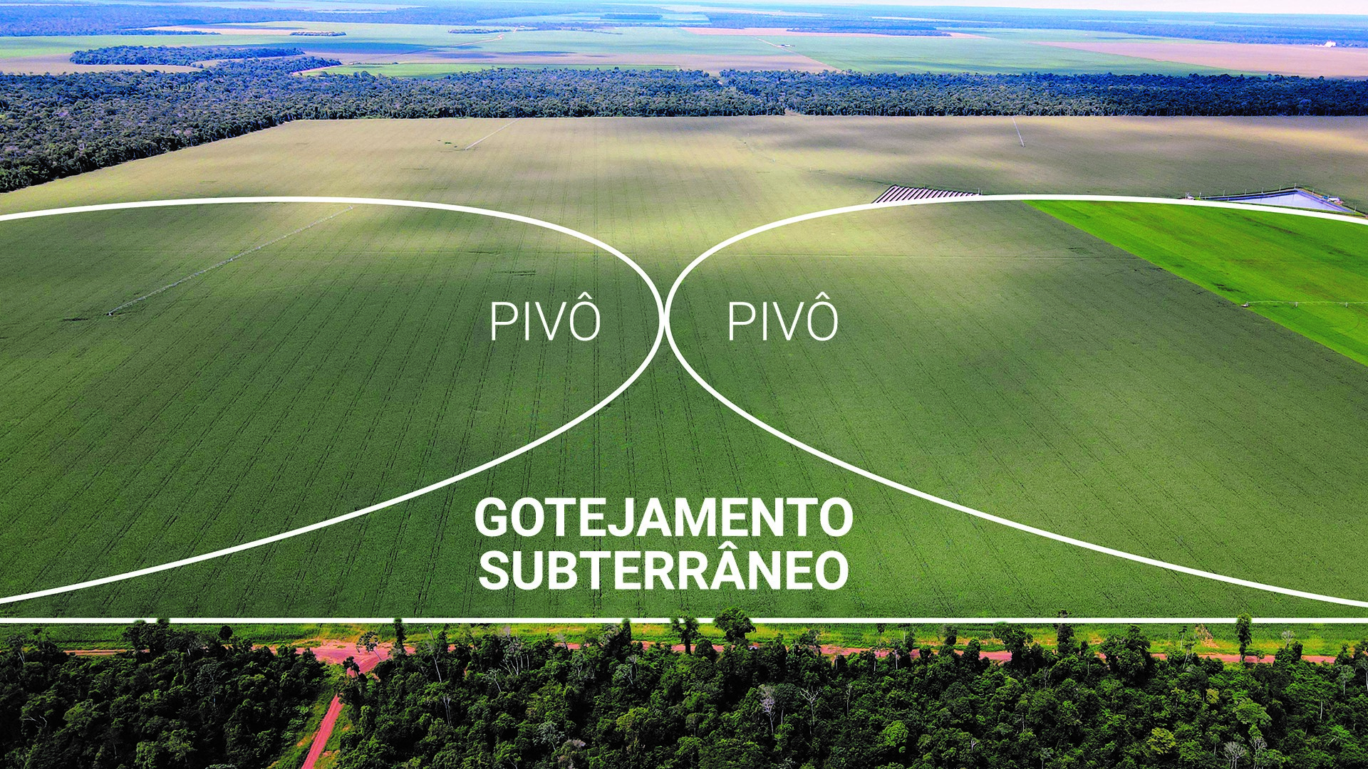 gotejamento-pivo