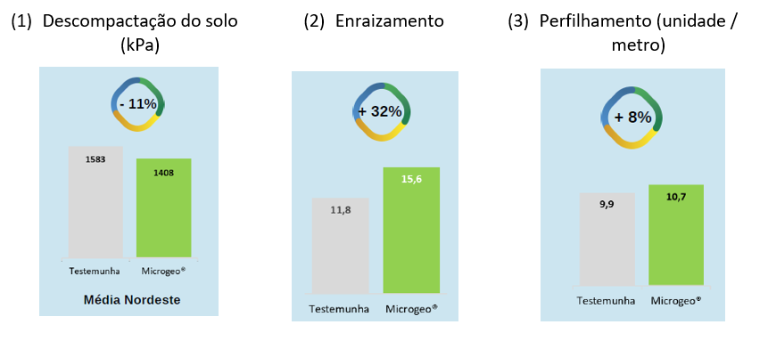 graf-biologico