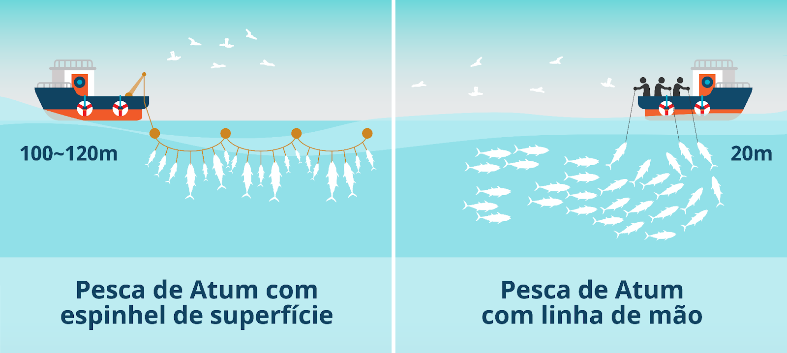 infografico-pesca