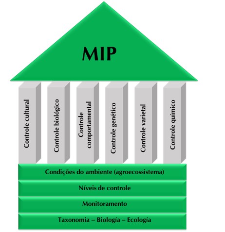 mip-infograf