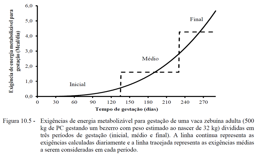 estrategia-reprodutiva-graf-1