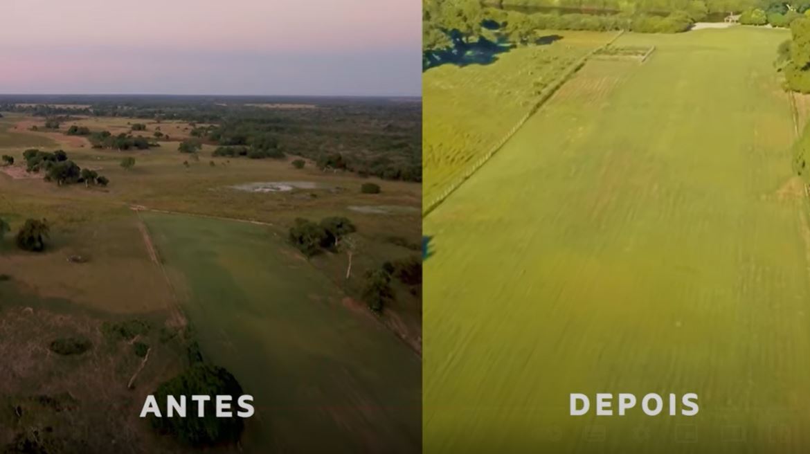 fazenda-campo-novo