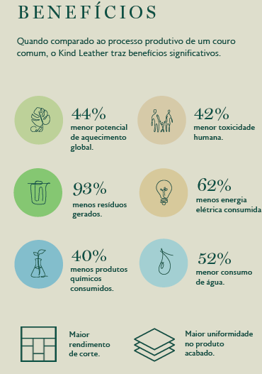 infografico-jbs
