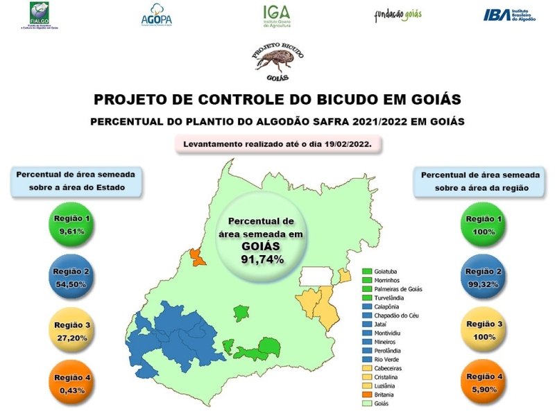 infografico-plantio-algodao