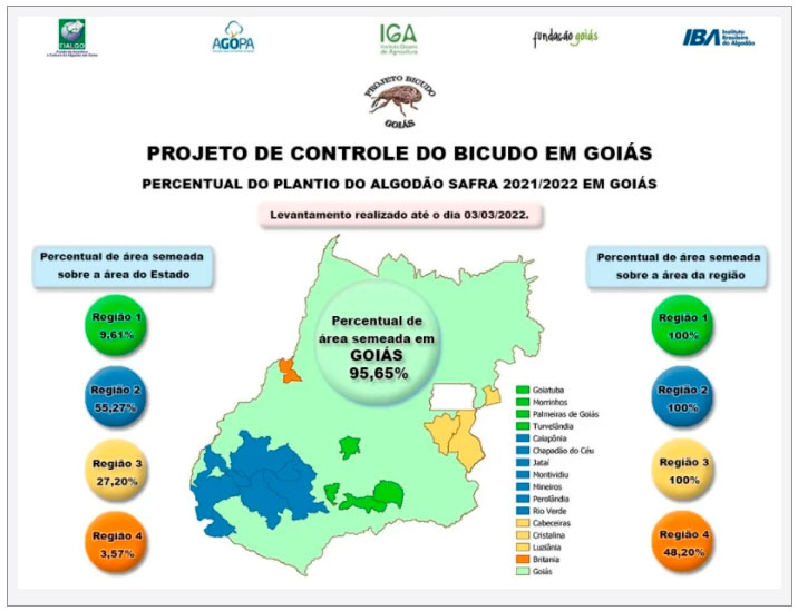 plantio-algodao-infografico