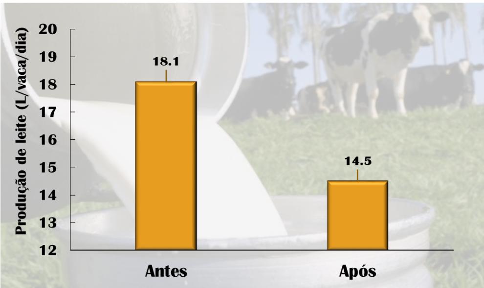 calor-graf-leite1