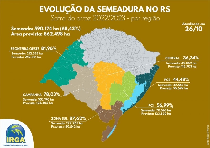infografico-arroz-irga