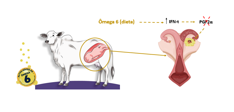 nutricorp-infografico