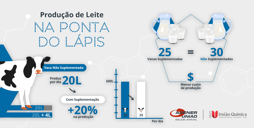 bst-infografico