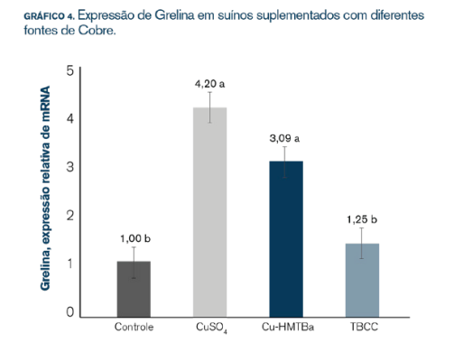 graf-suinos-antibacteriano-e