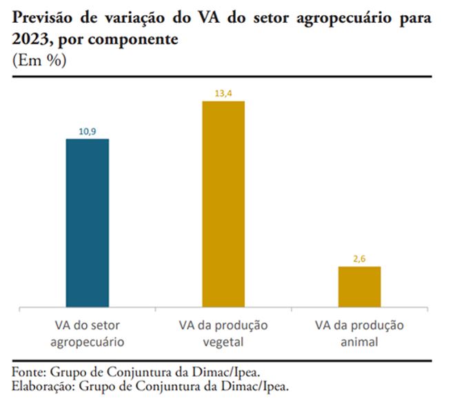 ipea-mundoagro-4