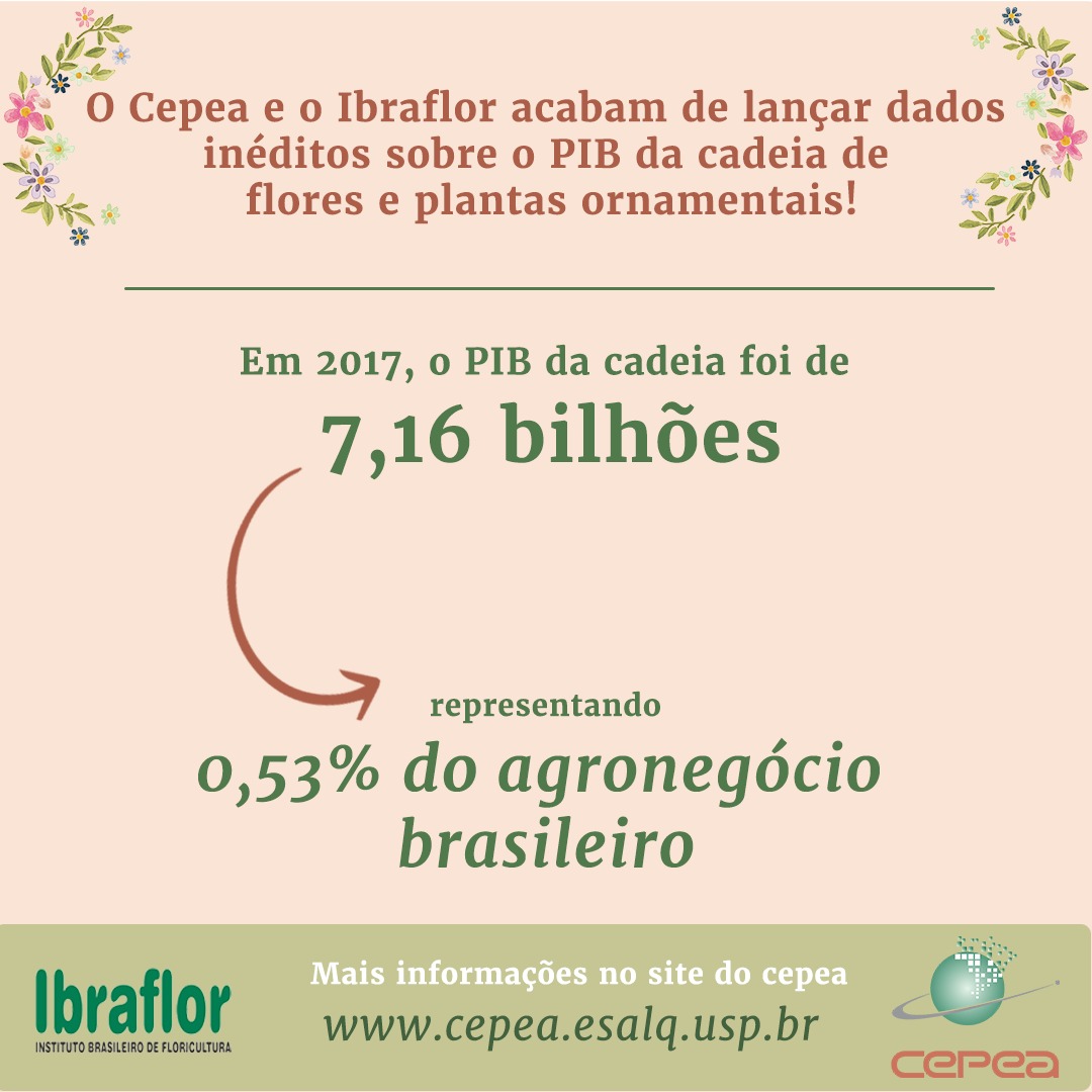 cepea-flores