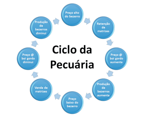desafios-pecuaria-21
