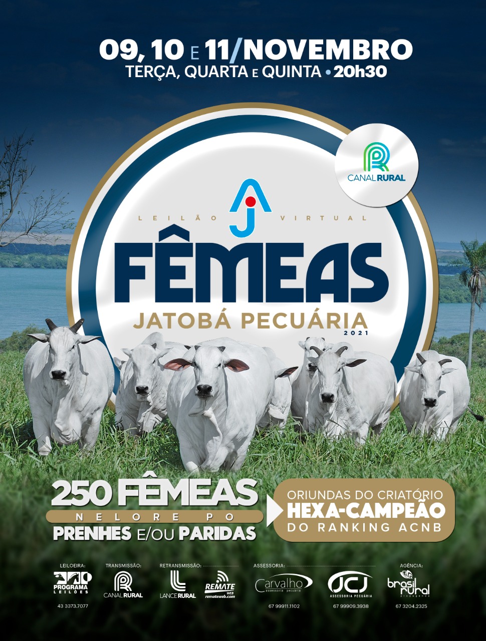 acnb-jatoba-pecuaria