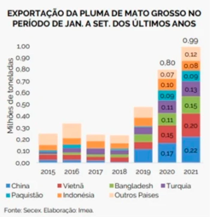 algodao-mt-exportacao