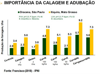 infograf-calagem-pasto-b