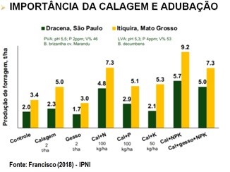 infograf-calagem-pasto