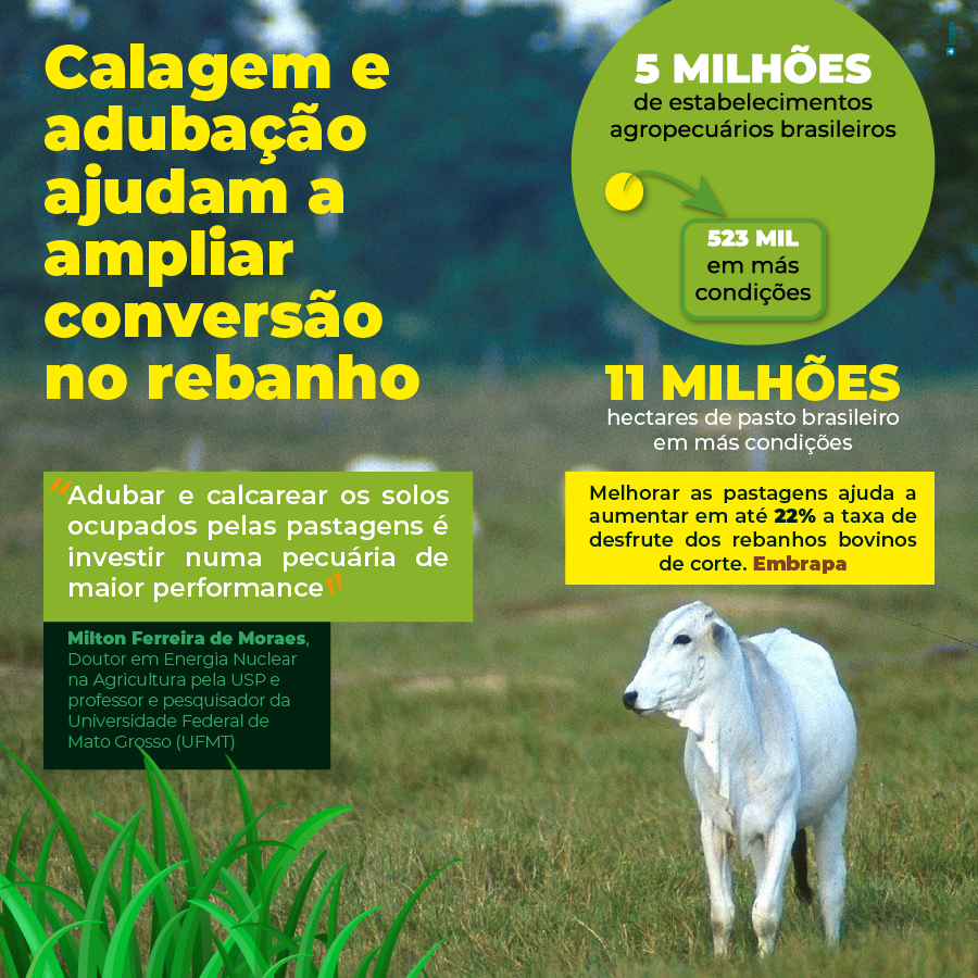 infograf-calagem-pasto