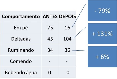 cargill-estresse-termico-b