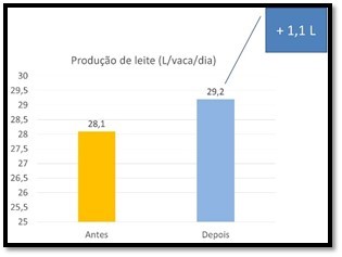 cargill-estresse-termico-e