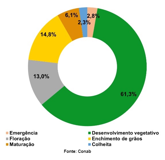 SEO Brasil quase conclui a semeadura de trigo e se aproxima da meta 3 agro-trigo-final-colheita
