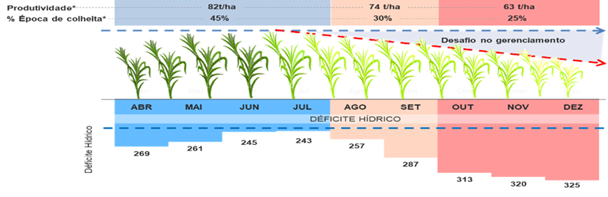cana-infografico-irrigacao