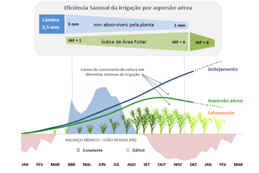 cana-infografico-irrigacao1