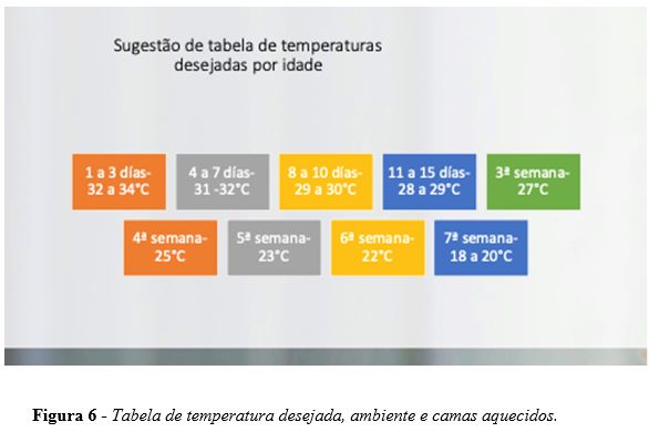 cobb-manejo-inverno6