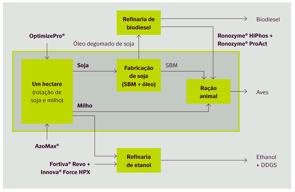 agro-infografico-nz