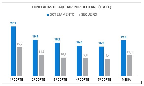 DRYING OFF”: A técnica de irrigação que contribui para aumentos no T.A.H. - Portal do Agronegócio