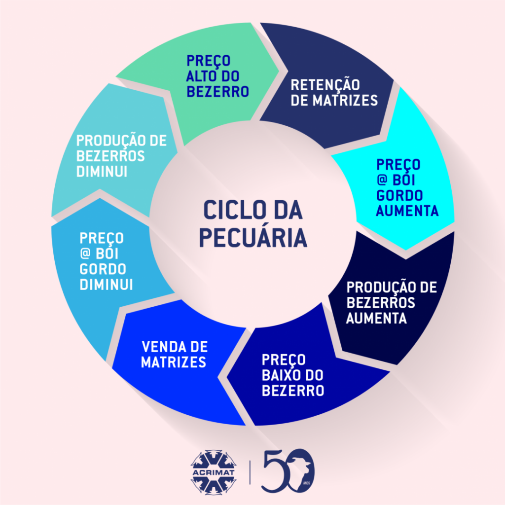 ciclo-da-pecuaria