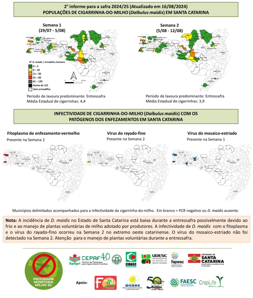 monitora-milho-sc-sem2-safra-202425-infografico
