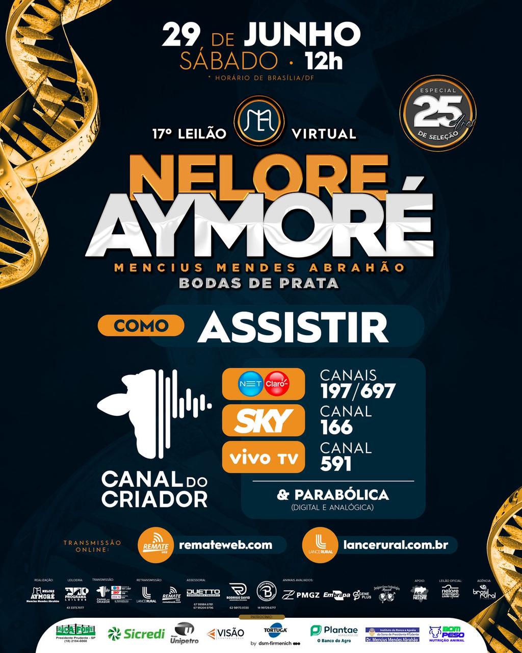 nelore-aymore