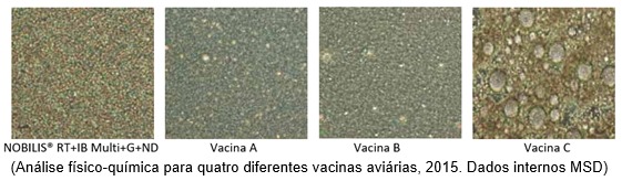 vacina-graf-msd