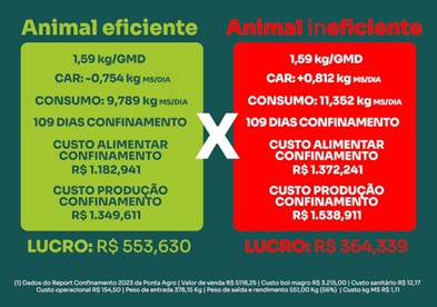 confinamento-infografico