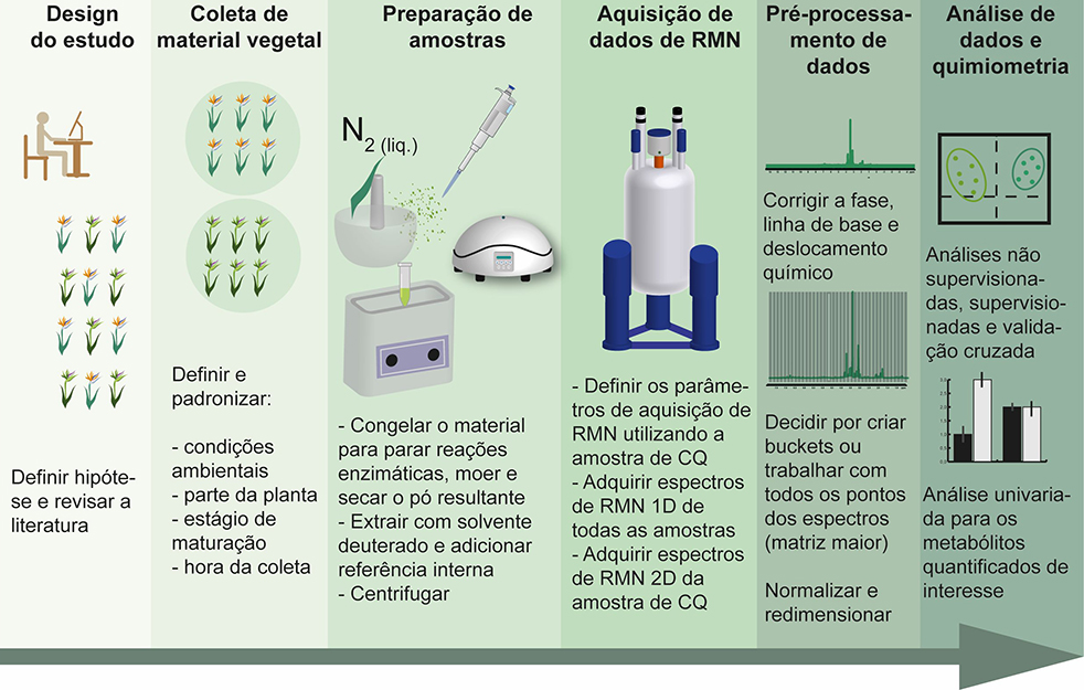 passo-a-passo-infografico