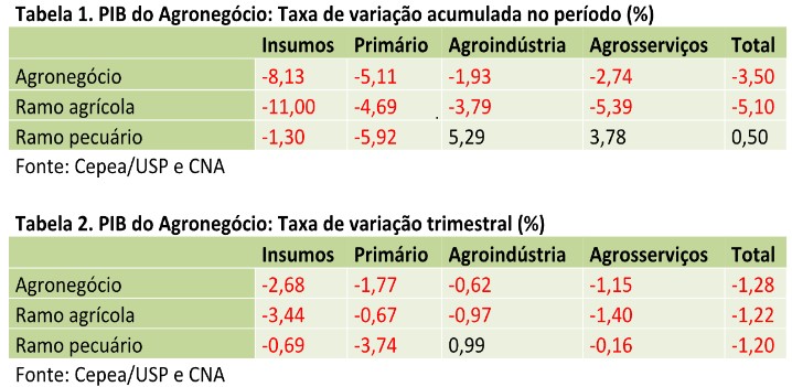 pib-agronegocio-out24a