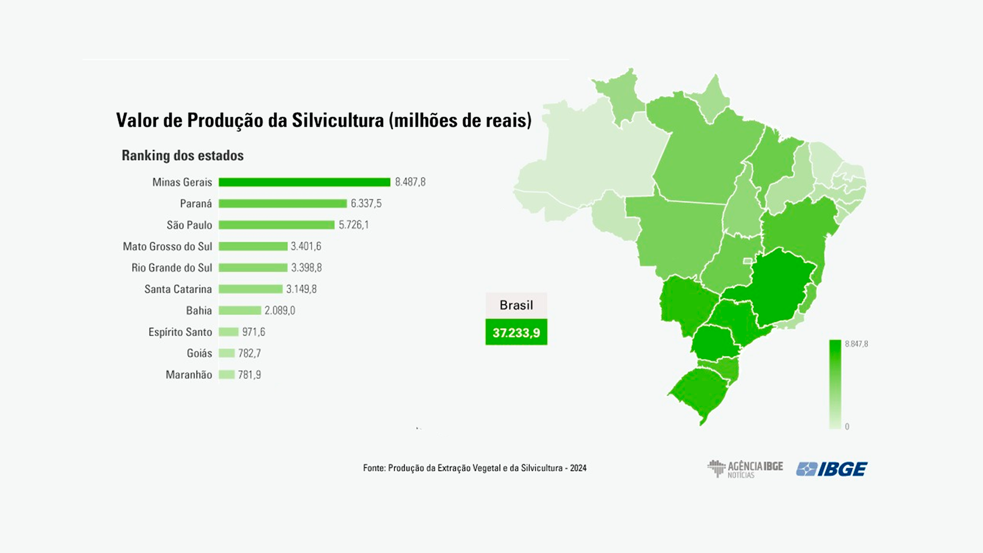 ibge-silvicultura