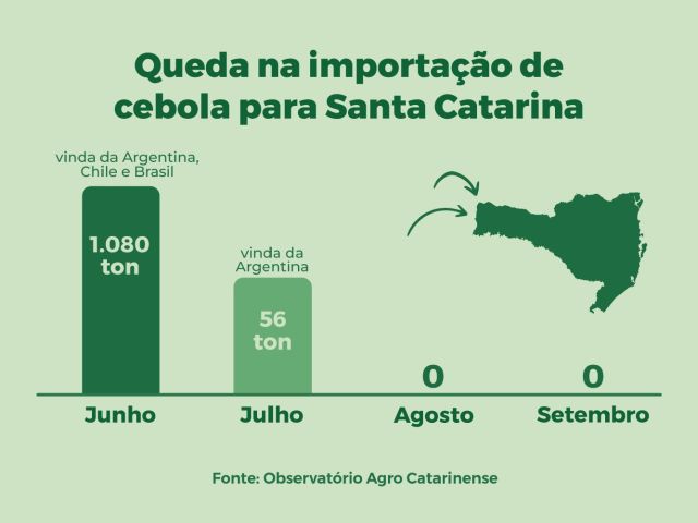 queda-importacao-cebola