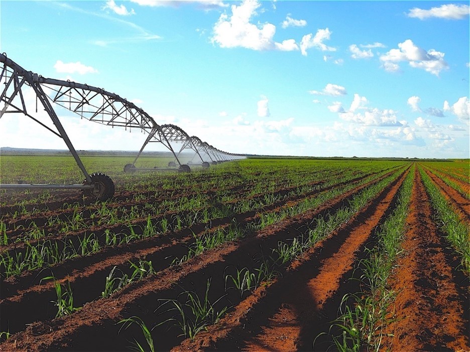 agro-irrigacao-manejo-nf2