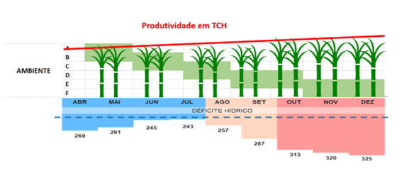 agro-irrigacao-manejo-nf5