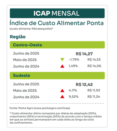 icap-jul