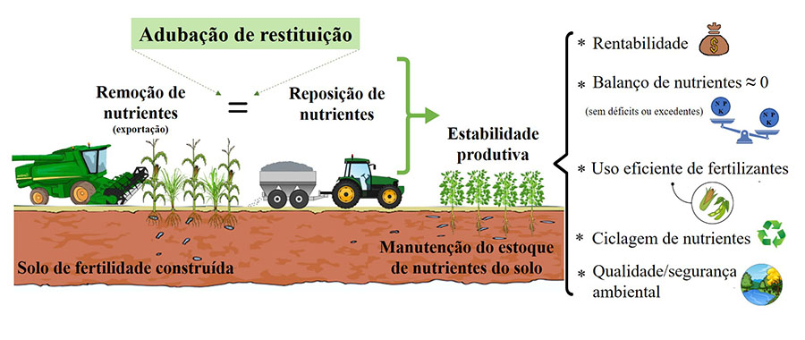 infografico-monna-lysa-santana