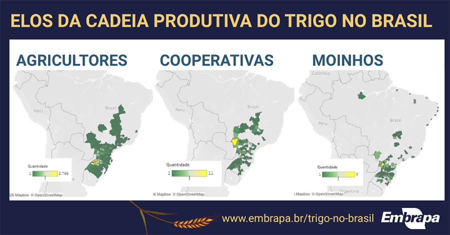 plataformatrigo-arte-plataforma-2