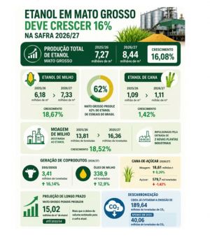 infograf-etanol