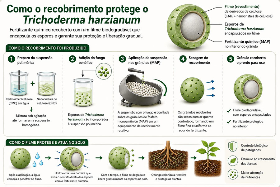 encapsulamentotrichoderma-infografico