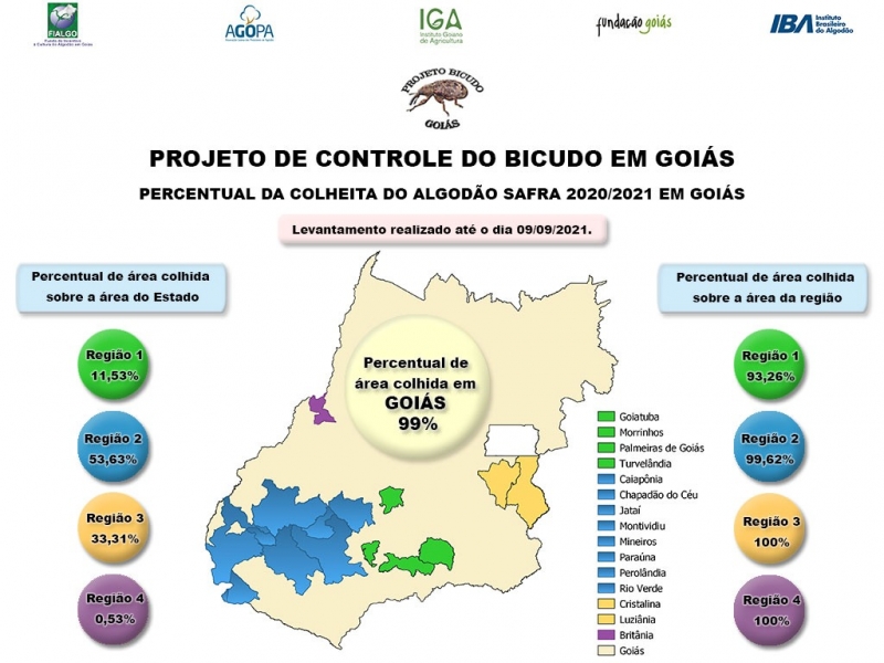 info-graf-algodao