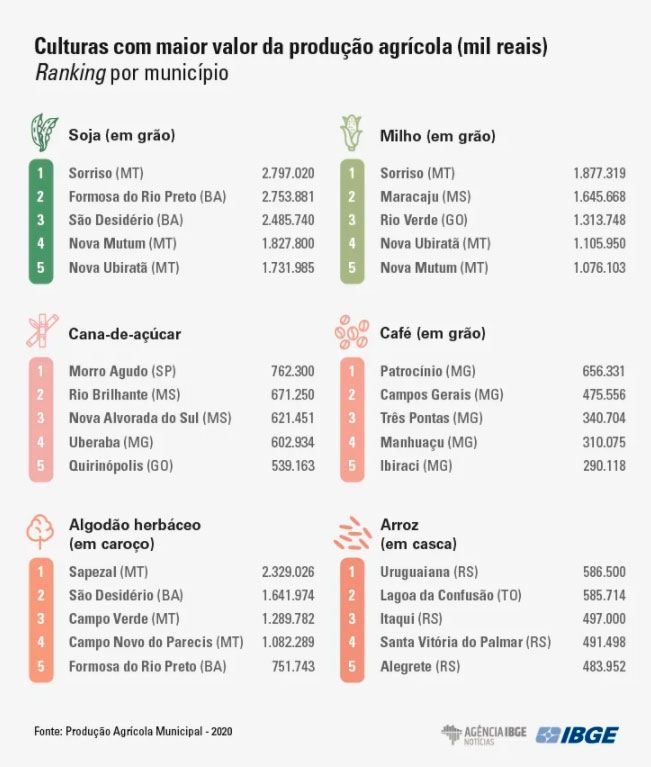 infograf-mt-custos