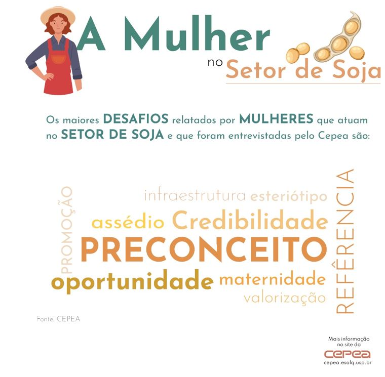 mulher-infografico-3