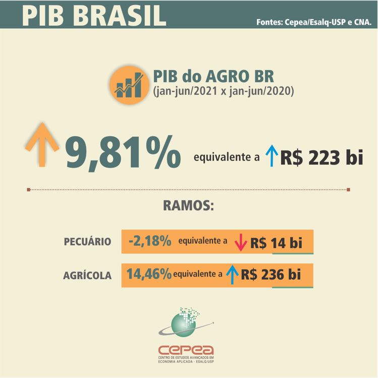 pib-1sem-2021